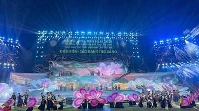 A Hoa Ban Fesztivál időzítésének módosítása 2026-ban.