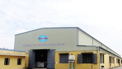 PP Packaging Joint Stock Company di Hai Phong akan segera membayarkan dividen tunai sebesar 100%.