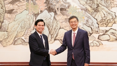 Meeting between the Secretary of the Lang Son Provincial Party Committee, Vietnam, and the Secretary of the Guangxi Zhuang Autonomous Region Party Committee, China.