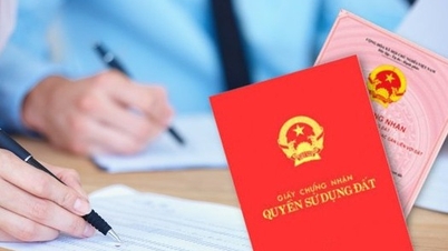 Může být pozemku se sdílenou přístupovou cestou s vládní institucí udělen certifikát vlastnictví pozemku?