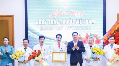 Hoogtepunten van de gezondheidszorgsector in Da Nang in 2025