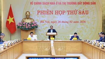 Perdana Menteri memimpin pertemuan ke-6 Komite Pengarah Pusat tentang Kebijakan Perumahan.