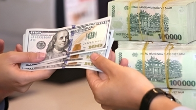 Matin du 26 février : Le taux de change central a diminué de 6 dongs.