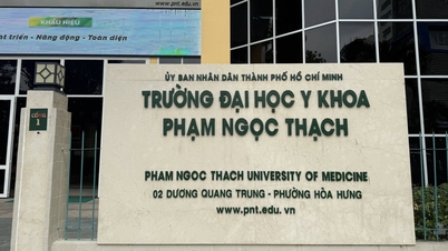 La Universidad de Medicina Pham Ngoc Thach aumenta las tasas de matrícula a 81 millones de VND al año.