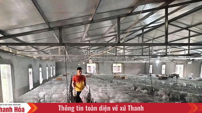 התגברות על קשיים כדי להתעשר באזורים הגבוהים.