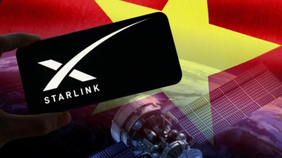 Starlink va instala 4 stații Gateway în Vietnam, oferind acoperire de la Phu Tho până la Ho Chi Minh City.