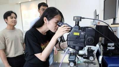 Die Technische Universität Ho-Chi-Minh-Stadt wird die erforderliche Mathematiknote bei den Zulassungen im Jahr 2026 verdoppeln.
