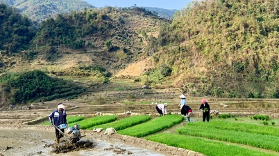 Entusiasmo en el inicio de la producción agrícola a principios de año.
