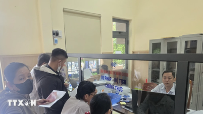 Da Nang implementa la capacitación en IA desde el nivel de base, creando una base para la administración digital.