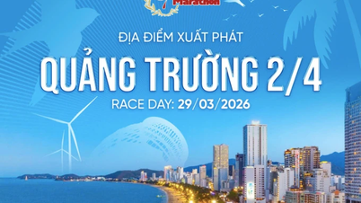 Tien Phong Newspapers nasjonale maratonmesterskap i 2026 vil telle med i medaljetellingen i de nasjonale idrettslekene.