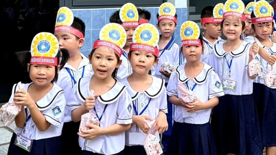 Primary school enrollment in Ho Chi Minh City: What to do if you don't want your child to attend school in your place of residence?