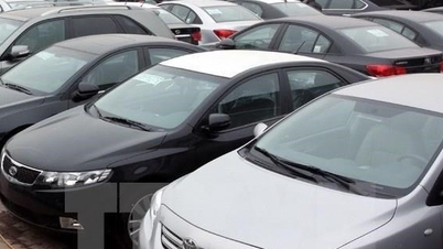 New regulations on auctioning tariff quotas for imported used cars.