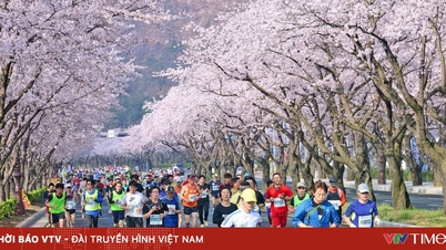Korea Selatan menyasarkan untuk mengalu-alukan 30 juta pelancong.