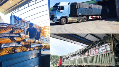 Hoa Phat Agriculture serves the market throughout the Tet holiday.