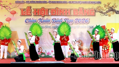 De unieke kenmerken van het Dinh Bang-festival.