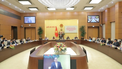 Осуществление выборов депутатов в 16-е Национальное собрание и депутатов в Народные советы всех уровней на срок 2026-2031 годов.
