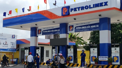 Beberapa informasi terkait penyesuaian harga bensin dan solar pada tanggal 26 Februari 2026.