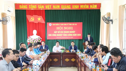 Møte for bedrifter på Tang Loong industripark