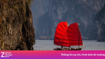 ภาพอันหาชมได้ยากของเรือใบสีแดงในอ่าวฮาลองได้หยุดให้บริการชั่วคราวแล้ว
