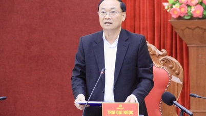 Ủy ban bầu cử tỉnh Gia Lai họp phiên thứ hai