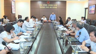 Revizuirea propunerii de ajustare a Planului Urbanistic al orașului Da Nang pentru perioada 2021-2030, cu o viziune pentru anul 2050.