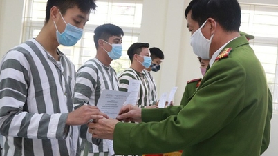 懲役刑に服している者の移送に関する法律の特定の規定を詳述する政令の起草。