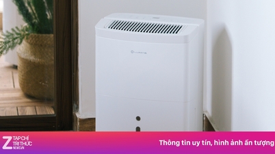 Items that consistently sell out after the Lunar New Year.