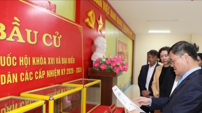 La province de Quang Ninh participe à un concours en ligne pour s'informer sur les élections à l'Assemblée nationale et au Conseil populaire à tous les niveaux.