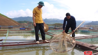 การพัฒนาการประมงที่ยั่งยืนและโปร่งใส