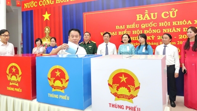 Ho Chi Minh-stad: Kiezers stellen hun vertrouwen in vroegtijdig stemmen.