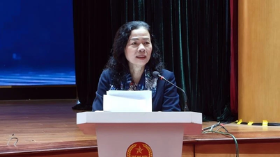 কর ব্যবস্থাপনা এবং পরিদর্শনকে সমর্থন করার জন্য অ্যাকাউন্টিং অনুশীলনের প্রশিক্ষণ বৃদ্ধি করা।