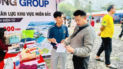 Job fair and career counseling event in Bach Ngoc commune.