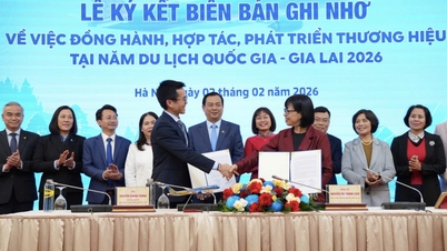 Vietnam Airlines, în colaborare cu Administrația Națională de Turism din Vietnam, a lansat o serie de activități intitulate „Zboruri înalte cu aspirațiile vietnameze”.
