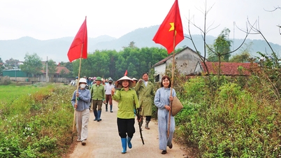 Sầy Köyü (Tuấn Đạo Beldesi): Örnek pirinç tarlasını korumak için bambu dikimi.