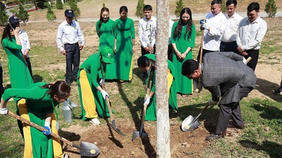 „No6 Green“ – zachování zelené barvy na historickém území Dien Bien Phu.
