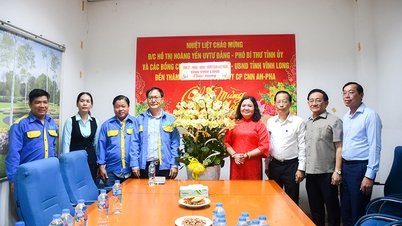 Provincial Party Committee leaders visit and encourage businesses.