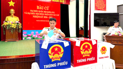 Hô Chi Minh-Ville : Journée de vote anticipé émouvante pour les forces en service en mer.