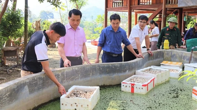 Lao Cai stärkt multidimensionale Lösungsansätze zur Armutsbekämpfung.