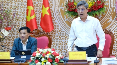 Leaders of the Lam Dong Provincial People's Committee held a working meeting with the Land Development Center.