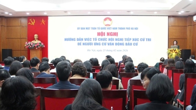 Hanoi emite directrices para organizar reuniones de difusión entre votantes y de campaña electoral.