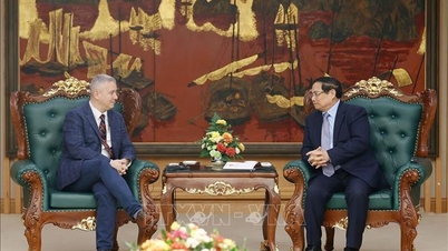 Le Premier ministre Pham Minh Chinh reçoit l'ambassadeur du Royaume de Belgique au Vietnam.
