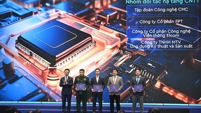 Hanoi se posiciona como una institución líder en innovación.