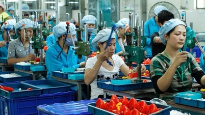 El Ministerio de Industria y Comercio ha publicado un plan para brindar apoyo legal a las empresas.