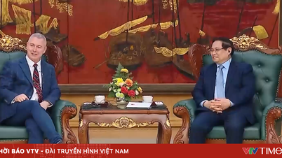Miniszterelnök: Vietnam mindig is fontos partnernek tekintette Belgiumot az EU-n belül.