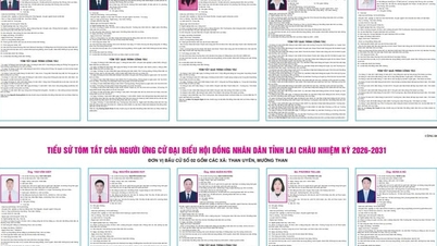 Brève biographie du candidat au Conseil populaire provincial de Lai Chau, mandat 2026-2031
