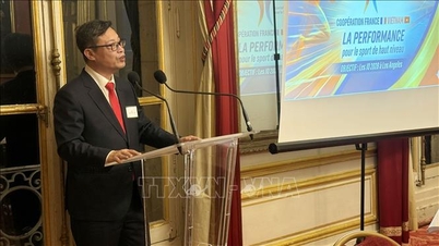 แรงผลักดันใหม่สำหรับความร่วมมือเชิงยุทธศาสตร์ที่ครอบคลุมระหว่างเวียดนามและฝรั่งเศส