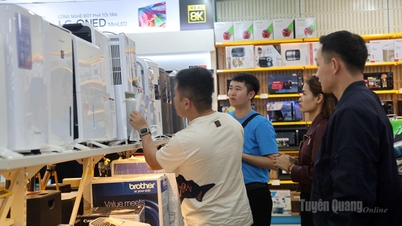 Máy hút ẩm đón mùa nồm sau Tết