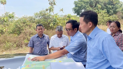 Provinsiell partisekretær Vu Hong Van gjennomfører en feltundersøkelse i kommunene La Nga og Dinh Quan.