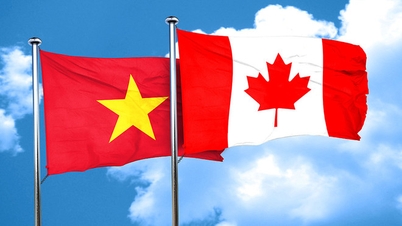 Het koppelen van ontwikkelingssteun aan de uitbreiding van de handelssamenwerking tussen Canada en Vietnam.