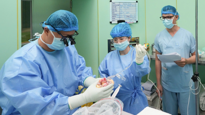 Organ transplantation in Vietnam: Bridging the 20-year gap with remarkable achievements.